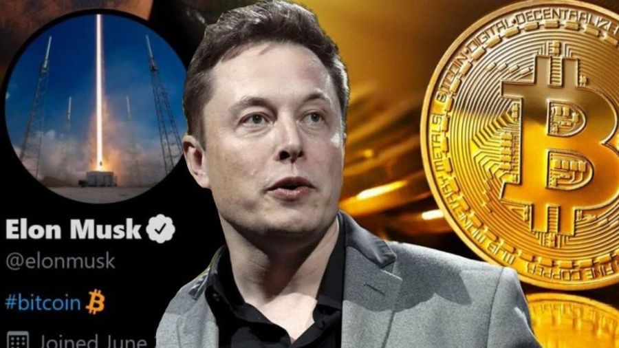 Elon Musk viết 8 chữ, Bitcoin lập tức quay đầu tăng điểm thần kỳ
