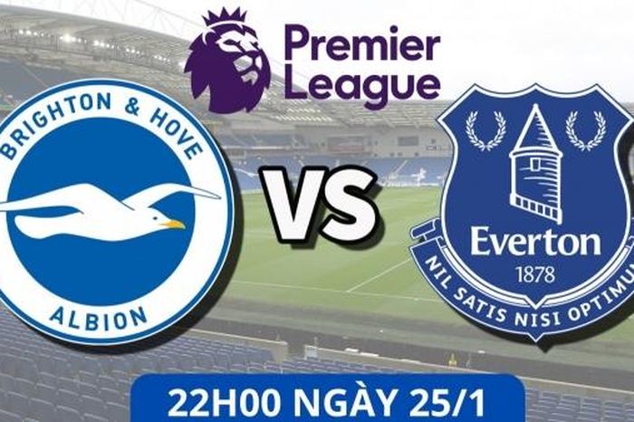 Brighton vs Everton: 3 điểm nằm trong tay đội chủ nhà