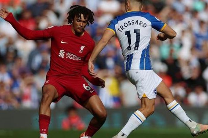 Nhận định, soi tỷ lệ Brighton và Liverpool (2h ngày 20/5), Ngoại hạng Anh 2024-2025