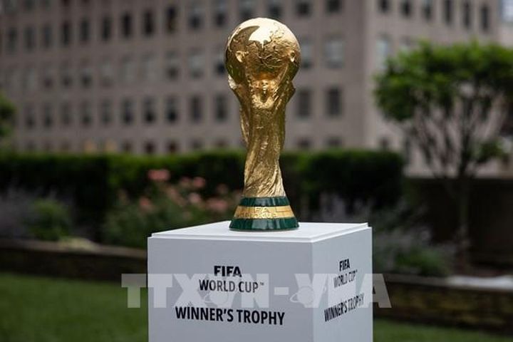 Lịch thi đấu World Cup 2022