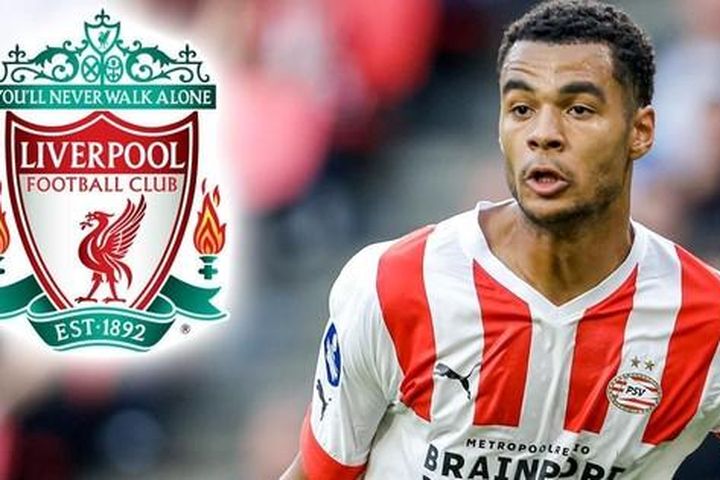 MU 'vồ hụt' Cody Gakpo, bị Liverpool nẫng tay trên