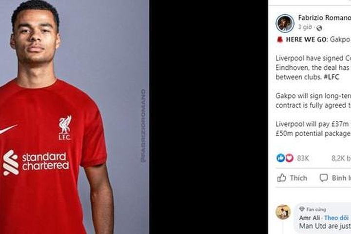 Fan MU sốc vì mục tiêu thay Ronaldo đã gia nhập Liverpool: 'Nỗi đau không bao giờ kết thúc với CLB này'