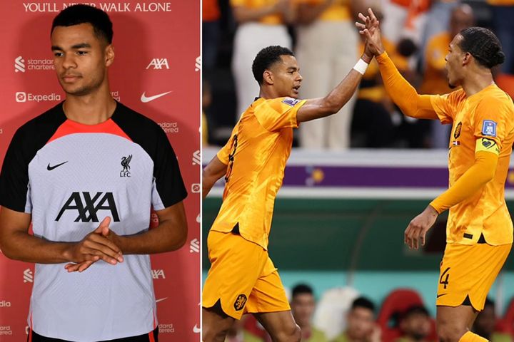 Van Dijk 'xúi' Gakpo từ chối Man United, gia nhập Liverpool